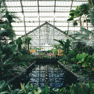 亚洲最大福利视频
